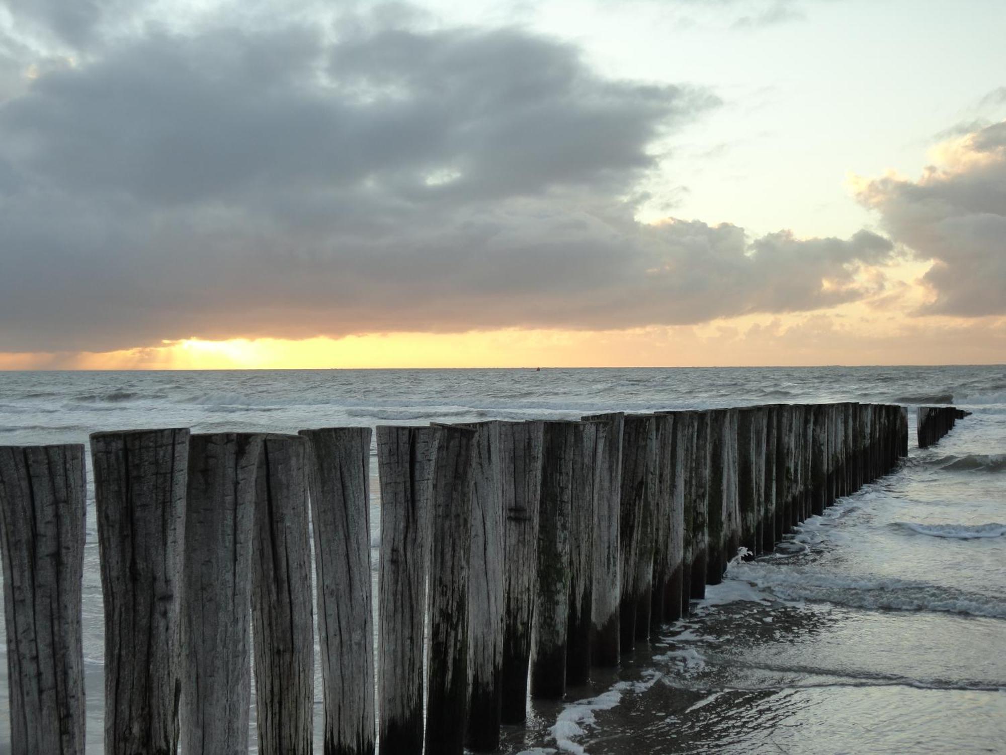 Appartement Anker Hollum (Ameland) Exterior foto